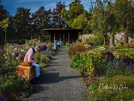 Realisatievoorbeeld tuin 2