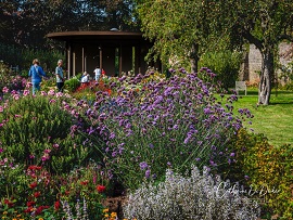 Realisatievoorbeeld tuin 3