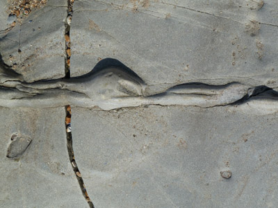 Kunstfoto headerbeeld