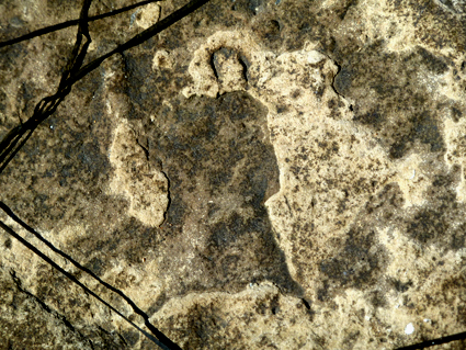 Tekeningen headerbeeld